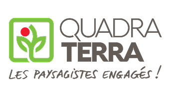 Quadra Terra